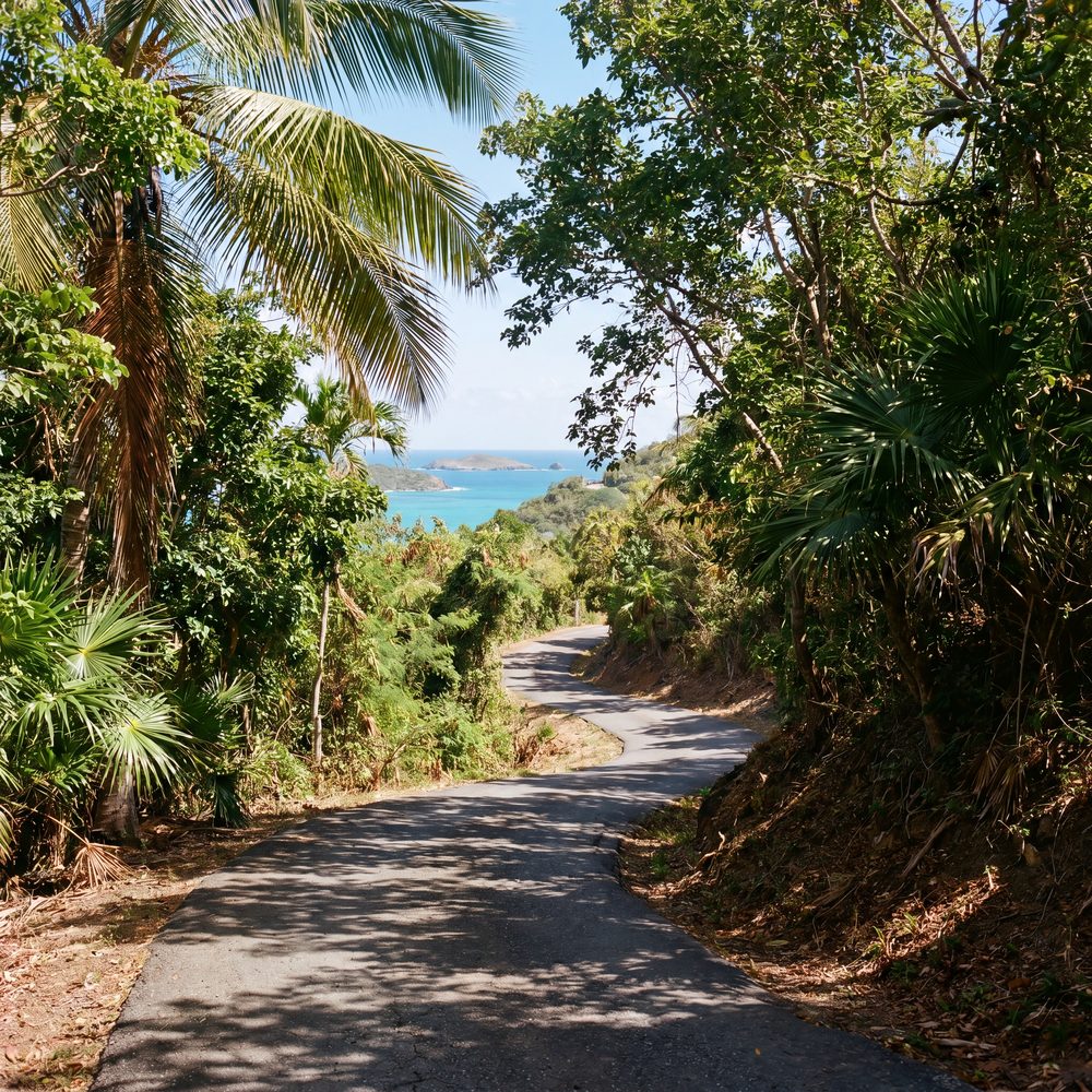 Scenic jungle-lined coastal road on the island