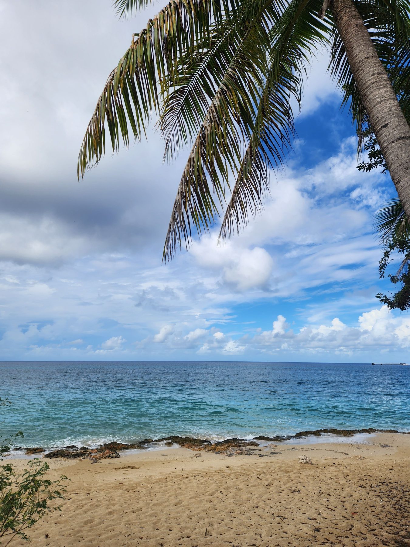 Palm trees, white sand and sapphire-blue water at Sapphire Beach, St. Thomas